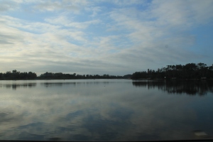 Early Morning at The Lake